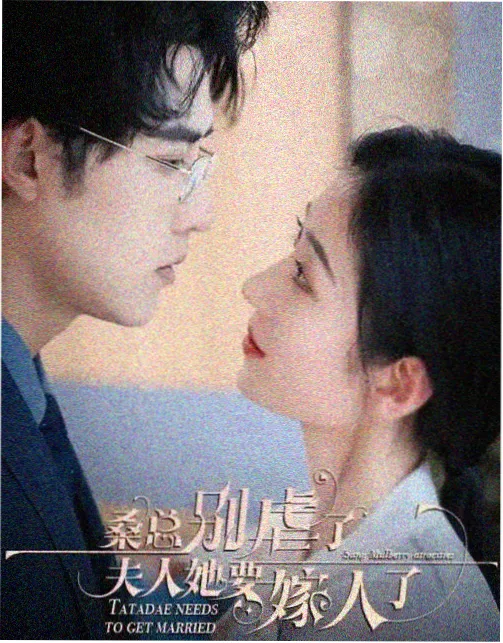 综艺明星访谈 短视频在线观看